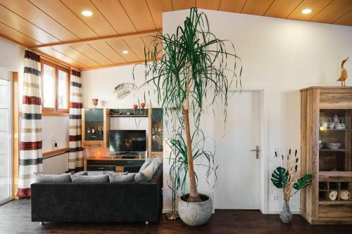 Ferienhaus Am Millibach