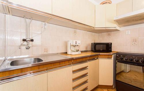 Apartment In Silo/insel Krk 13510