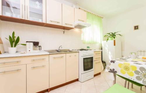 Apartment In Silo/insel Krk 13521