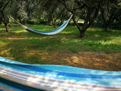 Lodge Ecohouse Oliveglia