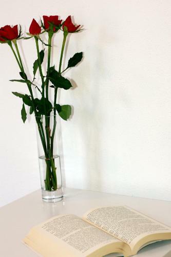 Apartman Ivana