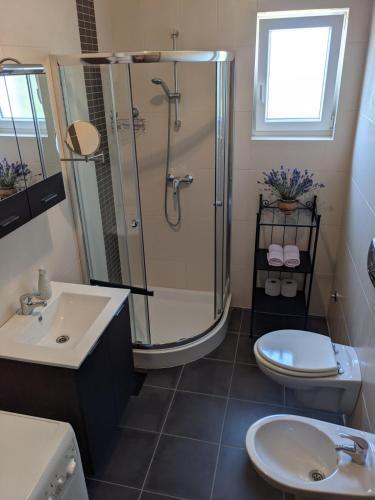 Apartment Iva