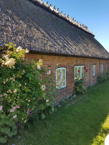 Apartamento Fischerkate Norderfeld