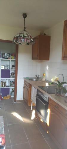 Apartamento Gr�ne Stadtwohnung