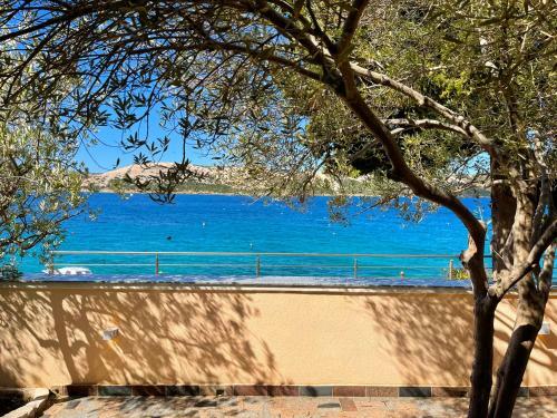Villa Olivija-first Row Sea