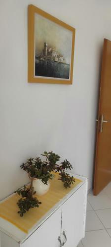 Beach House Apartments Stara Novalja
