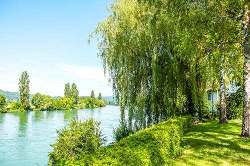 Apartment Gr�n I Rhein I Netflix I Schwarzwald