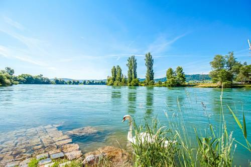 Apartment Gr�n I Rhein I Netflix I Schwarzwald