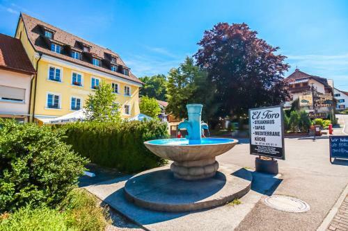 Apartment Gr�n I Rhein I Netflix I Schwarzwald