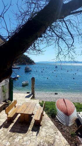 Beach House Bassi