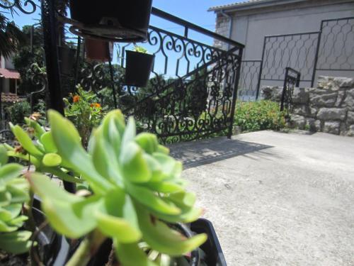 Apartamento Carnerolo***
