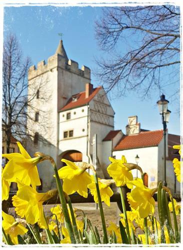 Hostal G�stehaus Am Stadttor