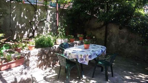 Apartment In Rijeka 27400