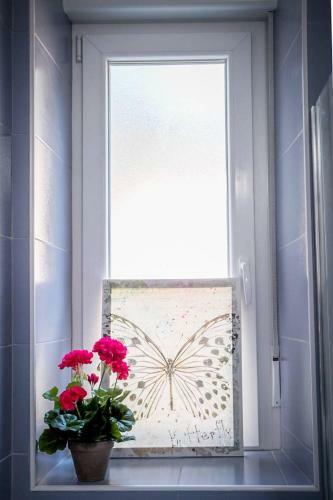 Apartman Vidi