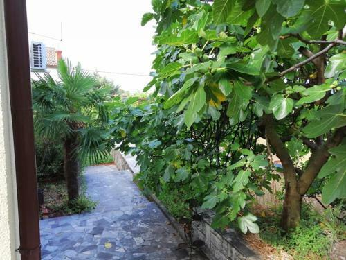 Studio Apartment Vigo - Rijeka