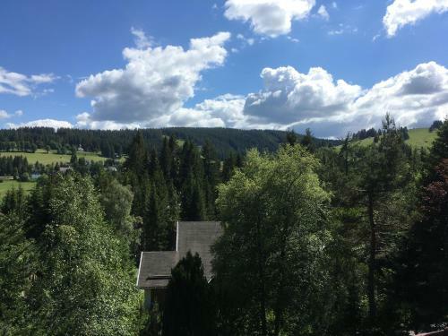 Apartamento Fuchs Und Has' G�stehaus