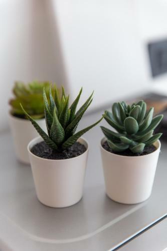 Apartments Trio
