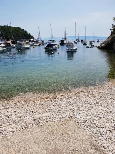 Apartman Villa Carolina