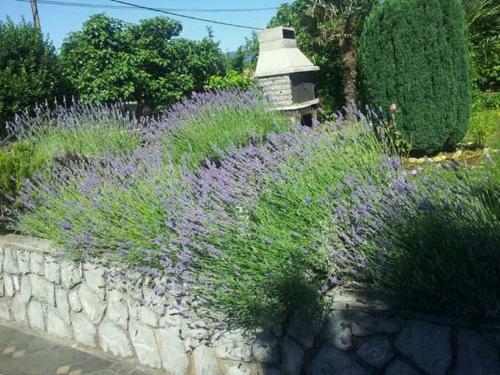 Apartment Adriano Terrace And Garden