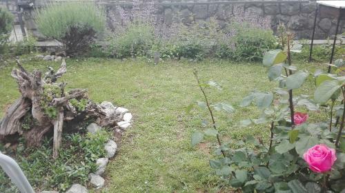 Apartment Adriano Terrace And Garden