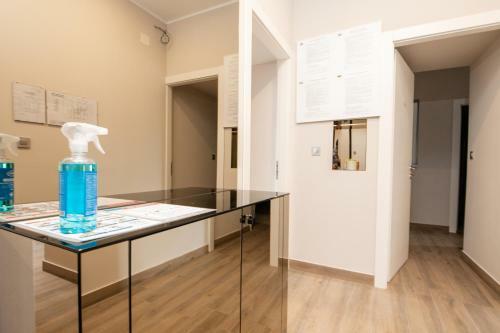 Deluxe Apartments & Rooms Revis