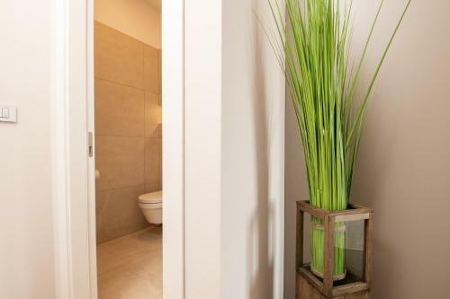 Deluxe Apartments & Rooms Revis