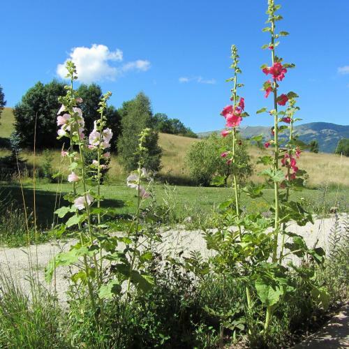 Bed & Breakfast Le Clos De Lumi�re