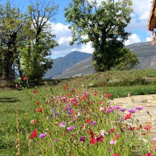 Bed & Breakfast Le Clos De Lumi�re