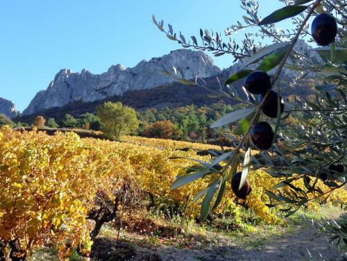 Bed & Breakfast La Bastide Des Pins