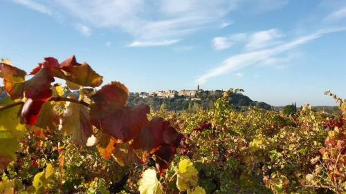 Bed & Breakfast La Bastide Des Pins