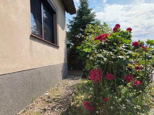 Apartamento Ferienhaus Kuddel