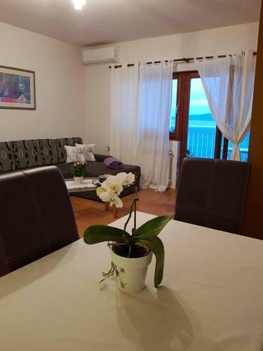 Apartman Ada