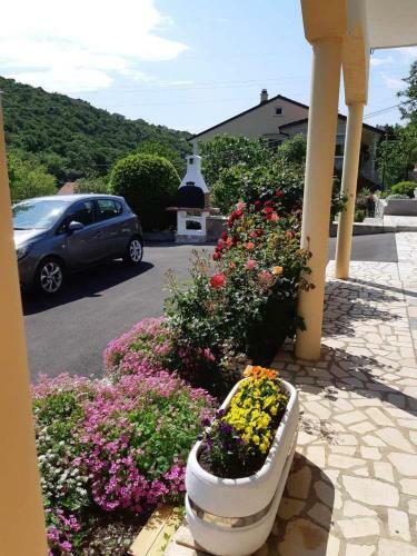 Apartment Duba