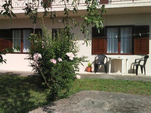 Apartman Dana
