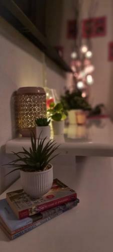 Apartamento Paula I Mara