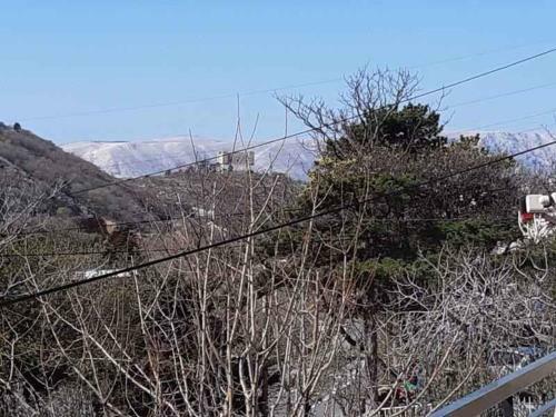 Apartment In Senj 40163