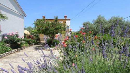 Apartment Lesica