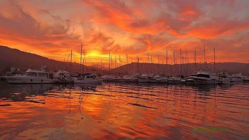 Ku?a Za Odmor Marina