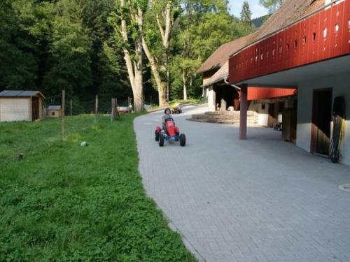 Apartamento Hanselishof