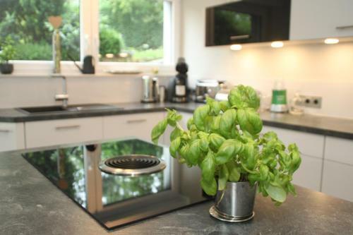 Apartamento Fewo Waldblick Zweifall