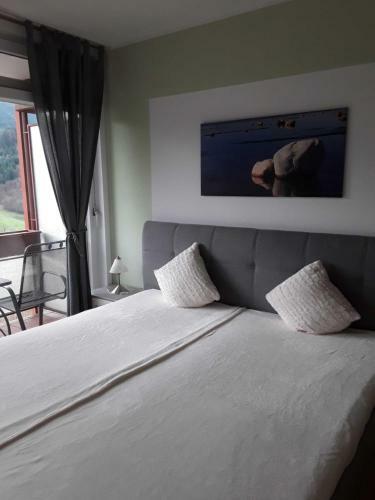 Apartamento Ferienwohnung Panorama