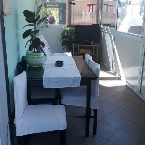 Apartment Oaza