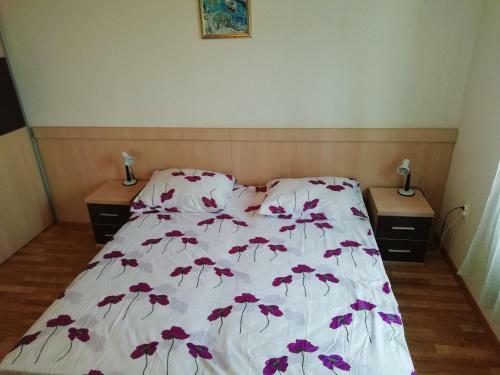 Apartment Zdene