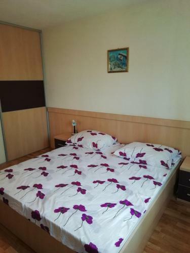 Apartment Zdene
