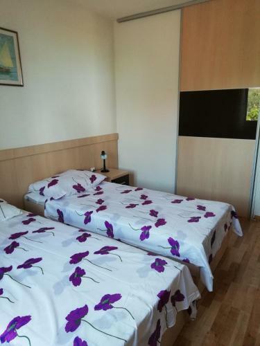 Apartment Zdene