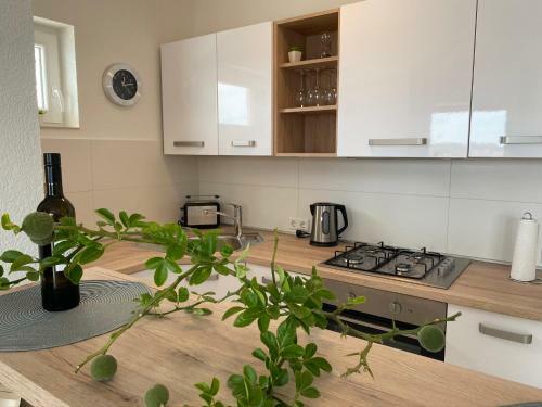 Hostal Villa Maluma