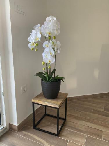 Apartamento Milano