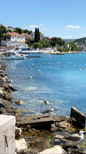 Apartamento Milano