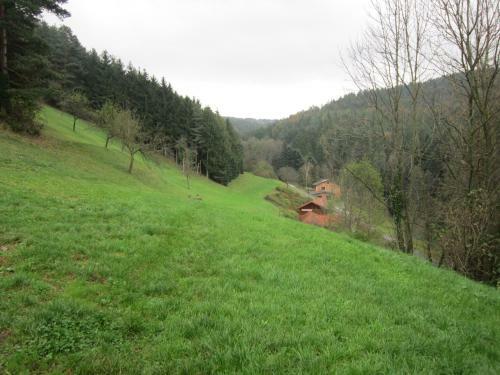 Hostal Waldpension Stachl