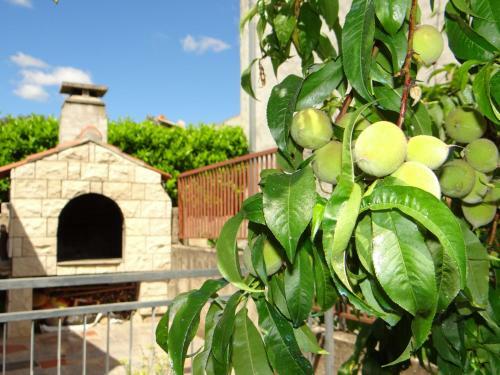 Apartmani Mara Rogoznica